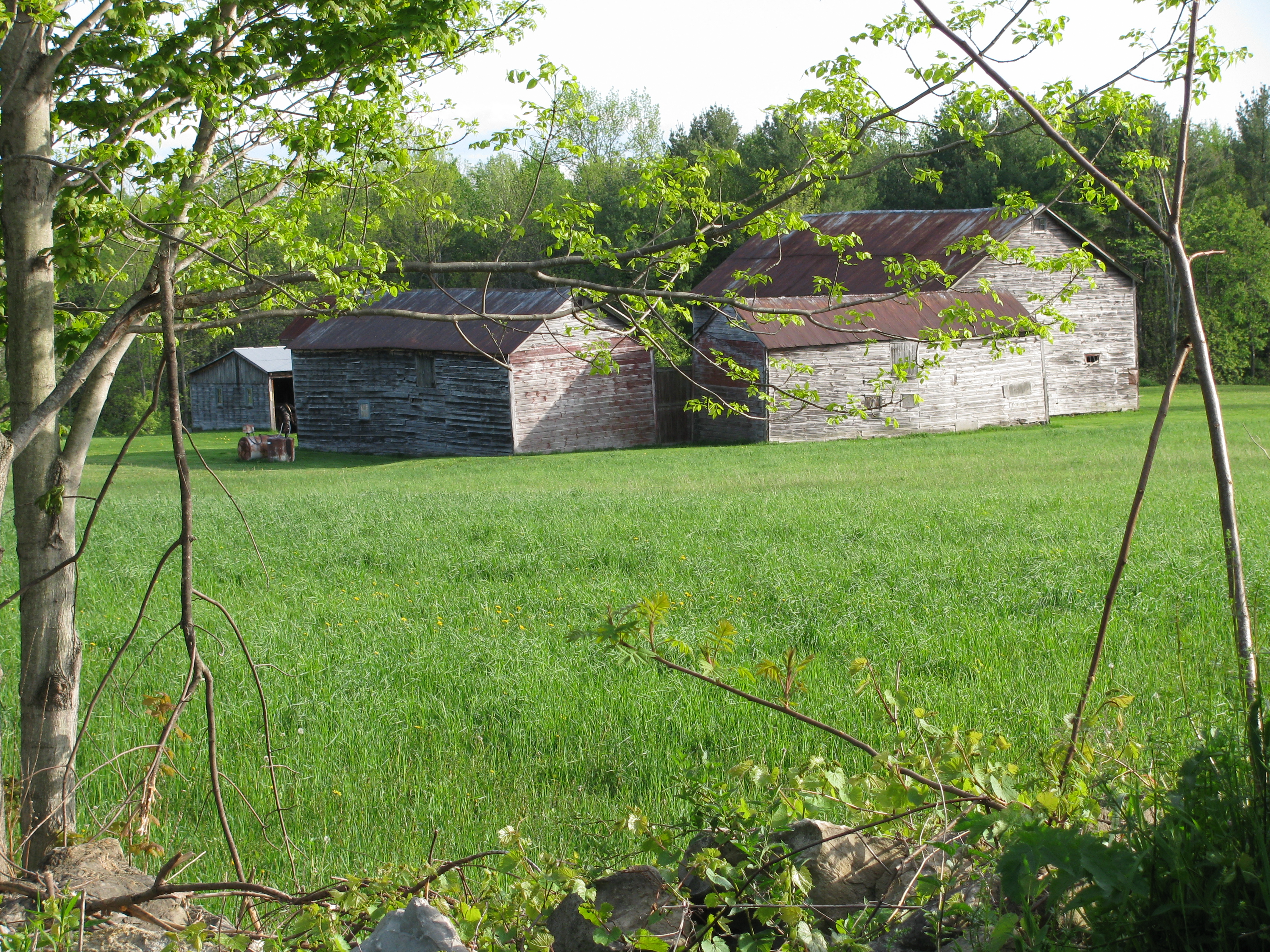 barn-4.jpg barn-4.jpg