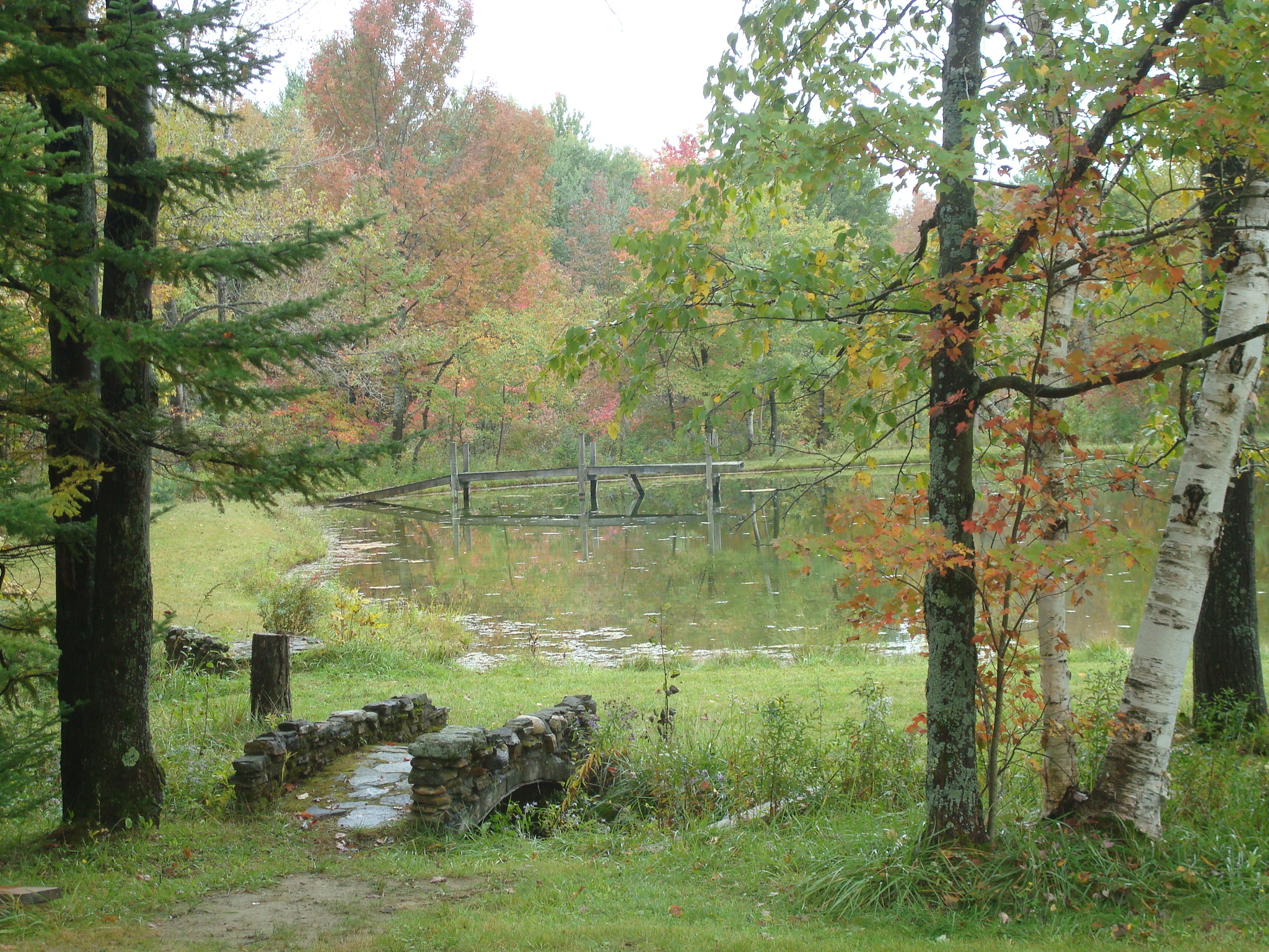 nature-2.jpg nature-2.jpg